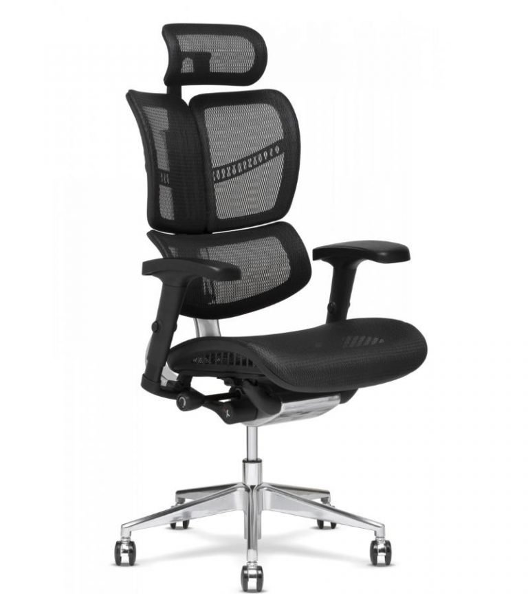 10 Best Ergonomic Chairs for Neck Pain Think Home Office